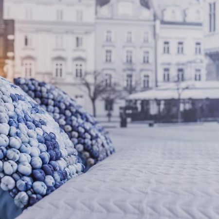 Zamstudio Krakow Zamenhofa 4 Eksteriør bilde
